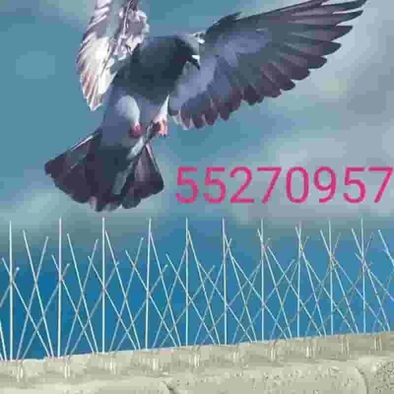 Repellents for pigeons and birds