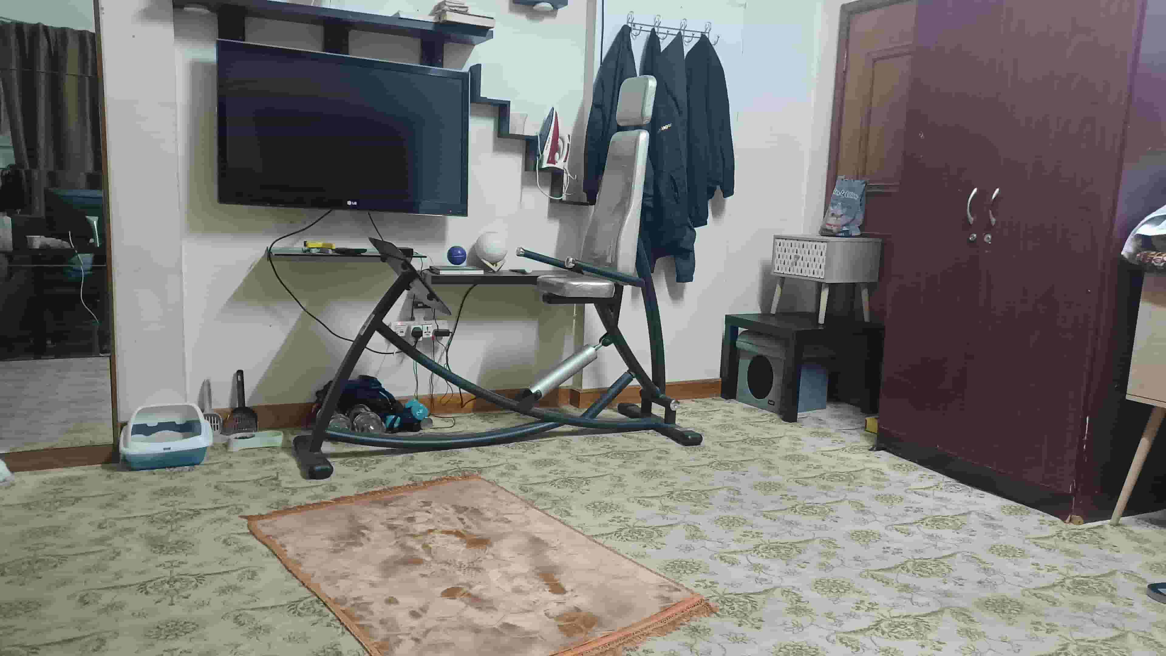 Back and leg trainer for sale