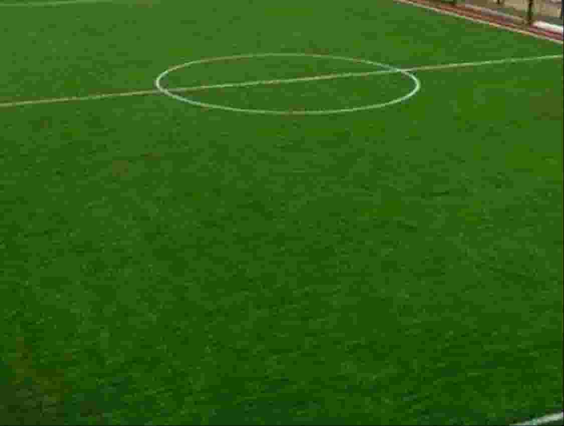نجيله وعشب طبيعي صناعي 